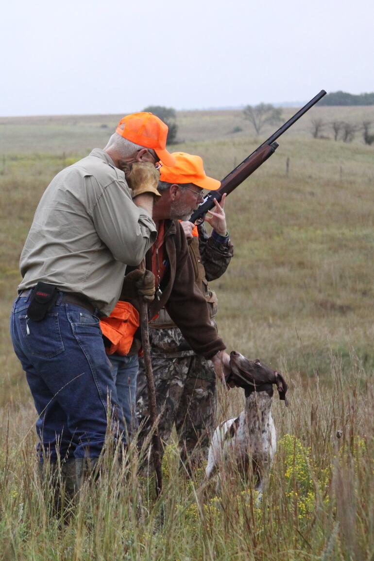 Advanced Pheasant Hunt1