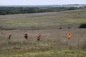Advanced Pheasant Hunt 3