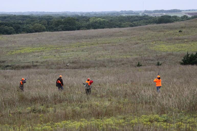 Advanced Pheasant Hunt 3