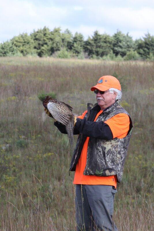 Advanced Pheasant Hunt 9