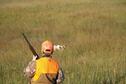 Pheasant Hunt 1