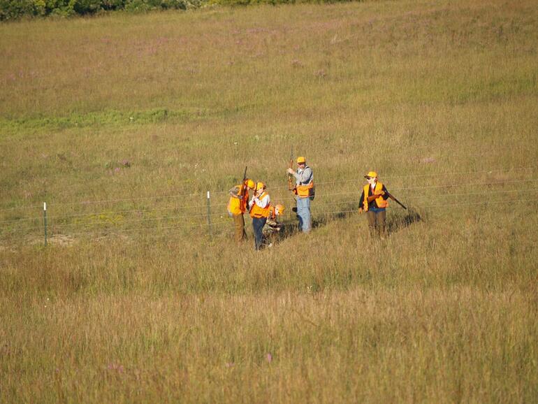 Pheasant Hunt 10