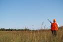 Pheasant Hunt 11