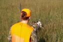 Pheasant Hunt 2