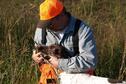 Pheasant Hunt 3