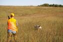 Pheasant Hunt 4