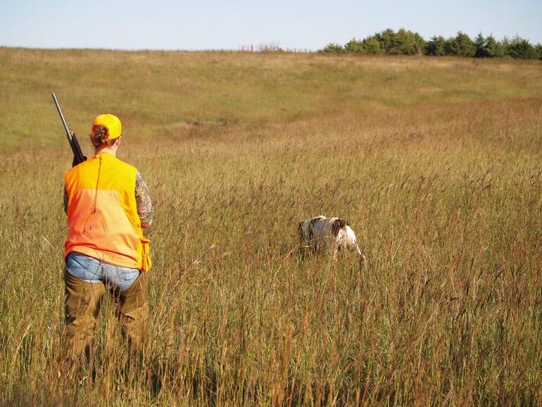 Pheasant Hunt 4