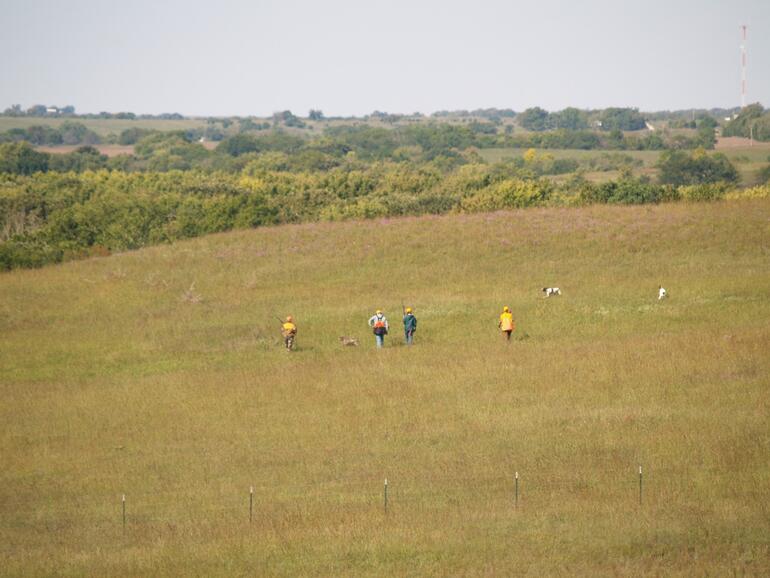 Pheasant Hunt 5