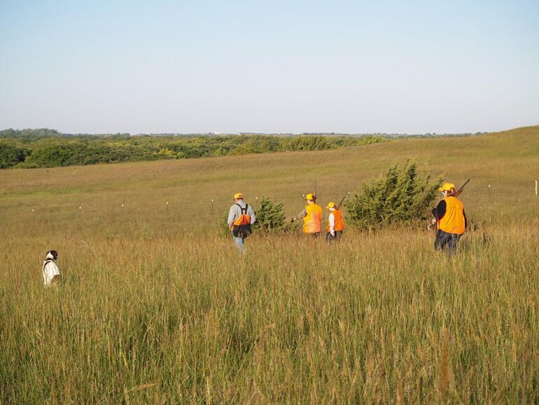 Pheasant Hunt 9