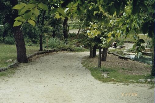 Rock Springs 12