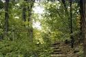 Rock Springs 13
