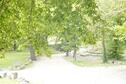 Rock Springs 3
