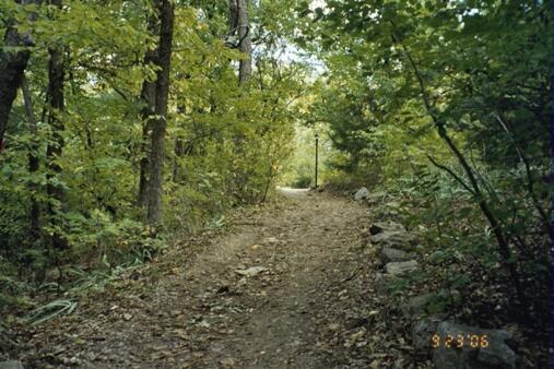 Rock Springs 7