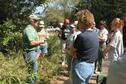 Natural History and Botany 2