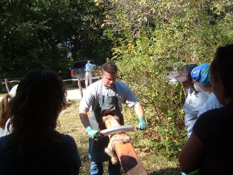 Skinning and Tanning 1