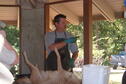 Skinning and Tanning 4
