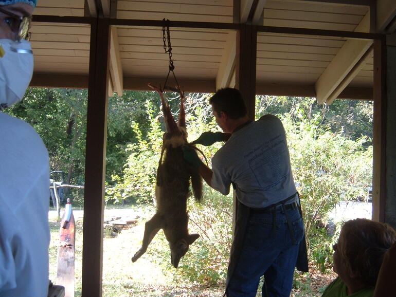 Skinning and Tanning 5