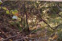 Creek Photo 1