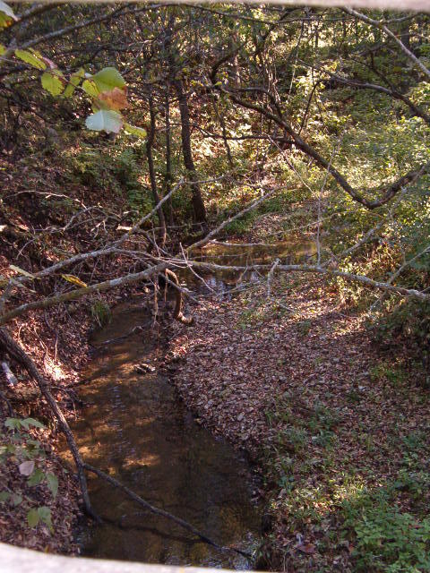 Creek Photo 1