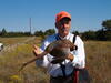 Intro to Upland Bird Hunting Photo 4
