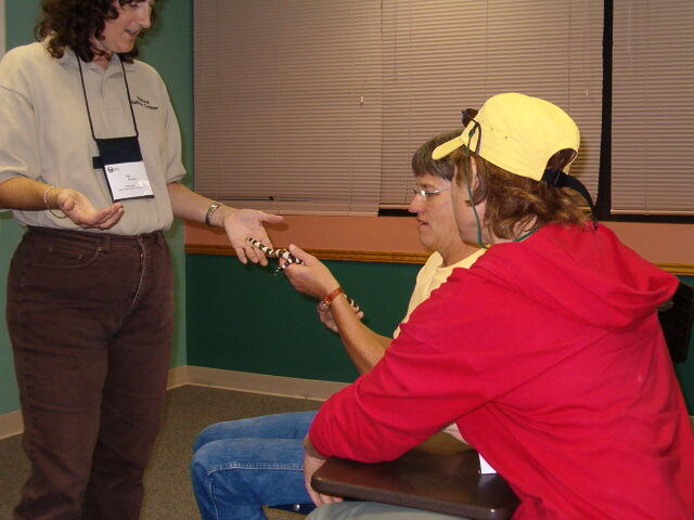 Snakes are Really Cool Photo 1