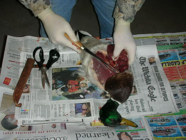 Duck9