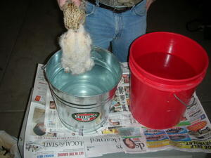 Pluck Pluck