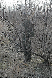Hunter wearing camouflage