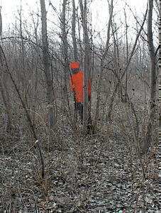 Hunter wearing blaze orange