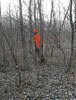 Hunter wearing blaze orange