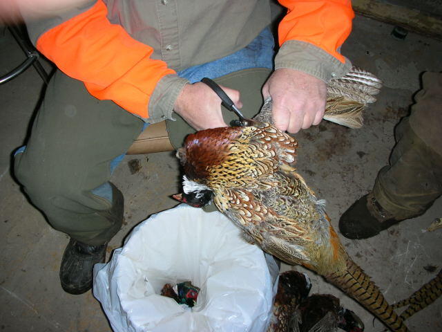Removing both wings
