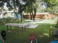 Outback 2