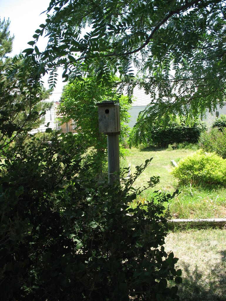 Bickerdyke 9