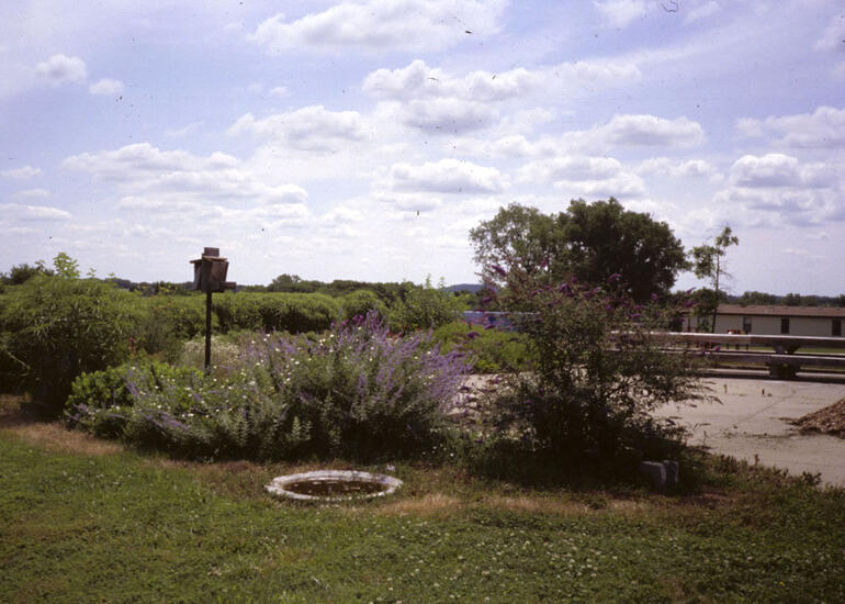 Broken Arrow Elementary