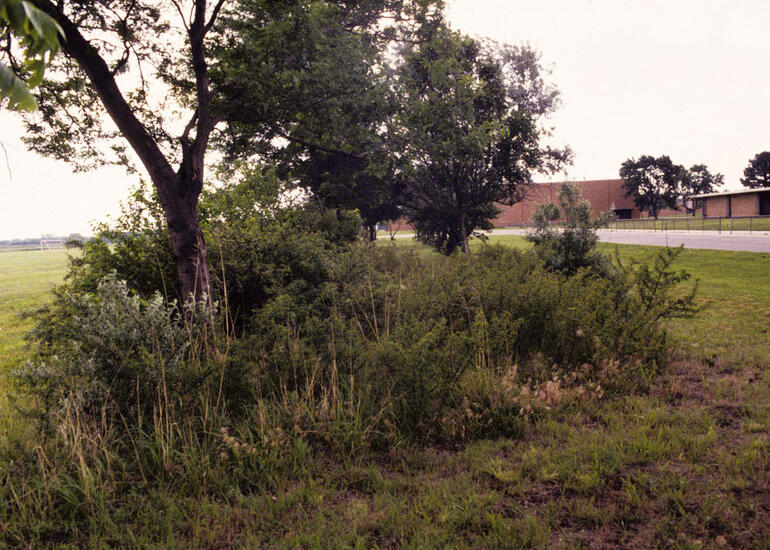 Campus