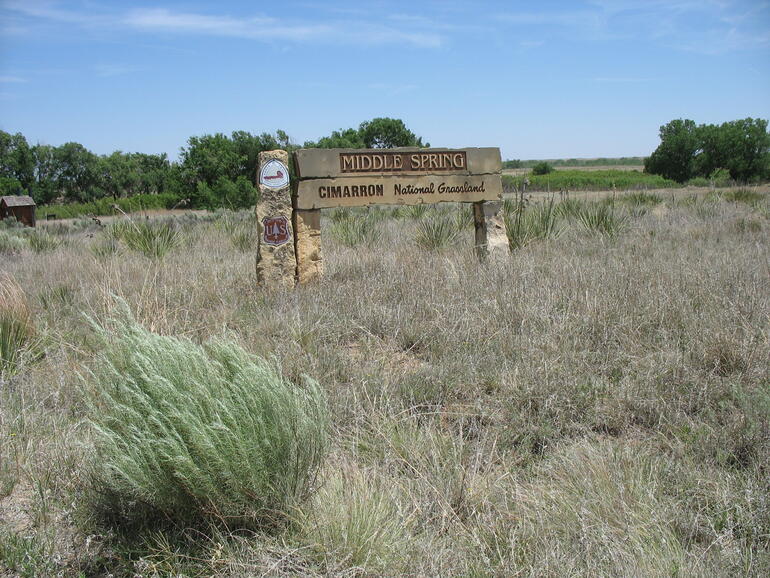Cimarron 10