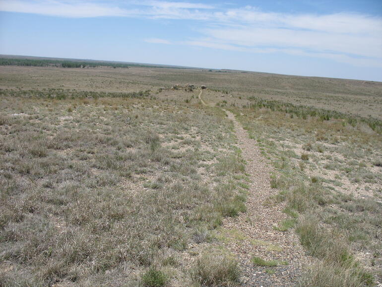 Cimarron 6
