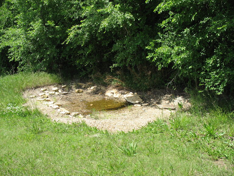 El Saline 7