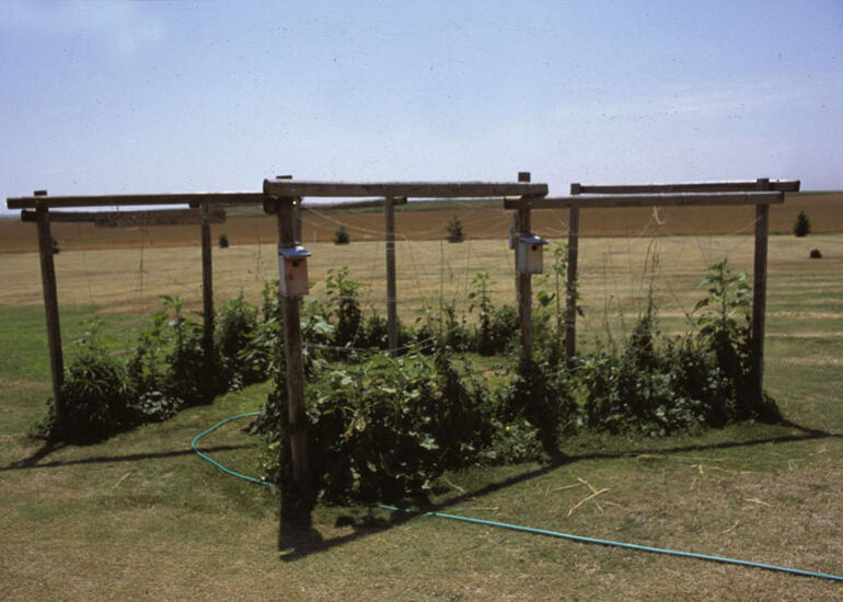 Golden Acres Selden