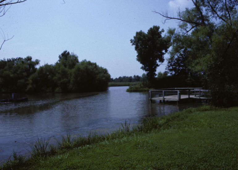 Greenbush