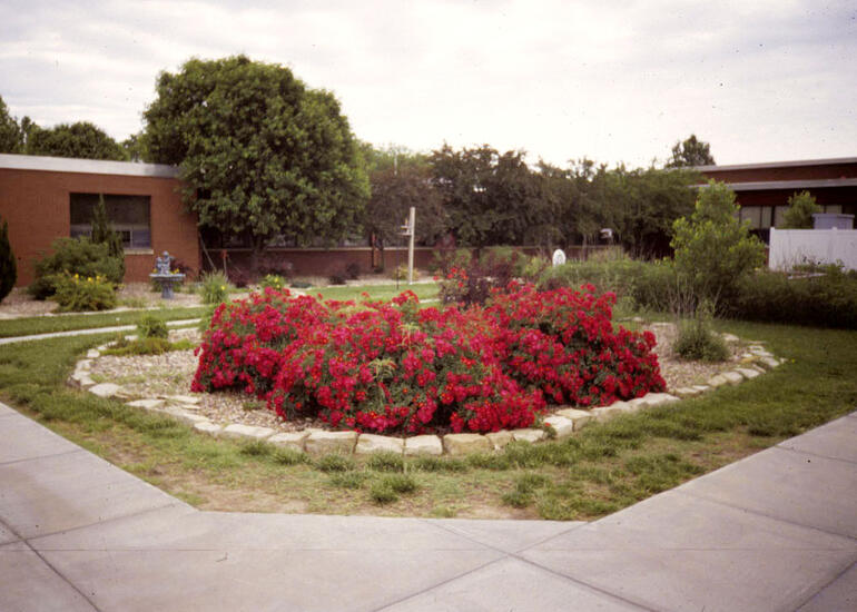 Holy Cross