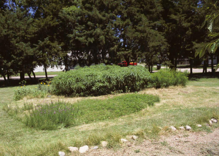 Meadowlark Ridge 2
