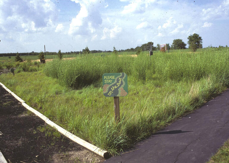 Prairie Star