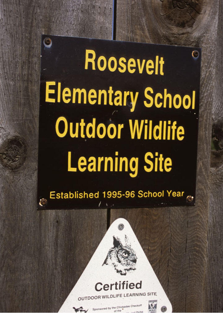 Roosevelt 2