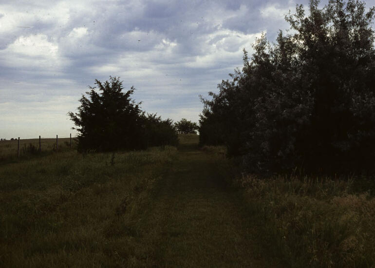 SE of Saline 