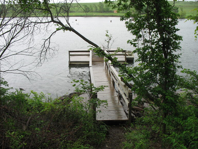 Campwood 012