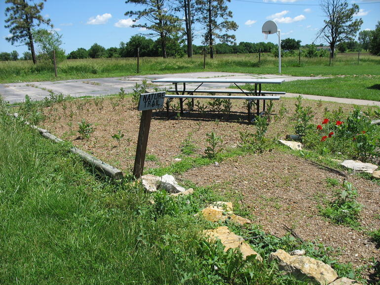 Crossroads 5