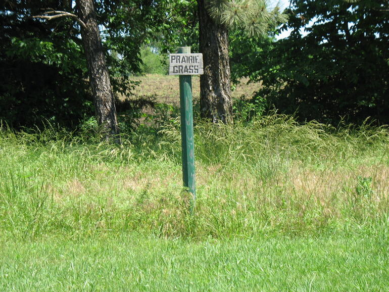 Crossroads 7