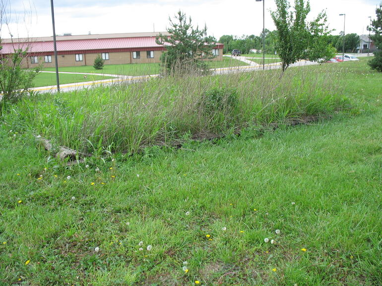 Emporia MS 3