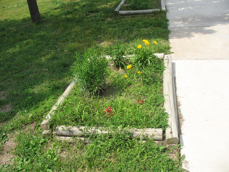 Fredonia 10
